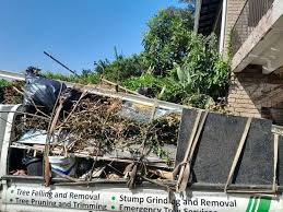 Best Furniture Removal  in Mesquite, TX